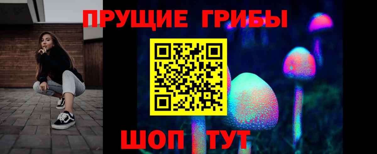 Псилоцибиновые грибы мицелий Щёлково
